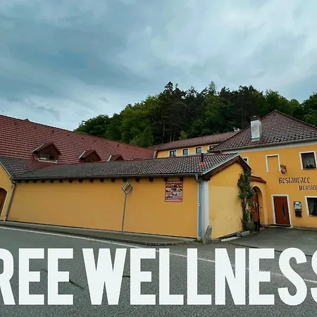 Pod Hradem Guest house Nove Hrady (Ceske Budejovice)